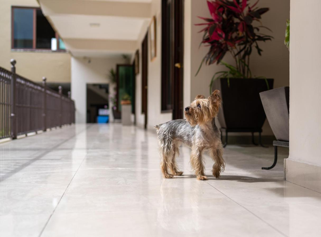 Casa De Las Flores Hotel Oaxaca ภายนอก รูปภาพ