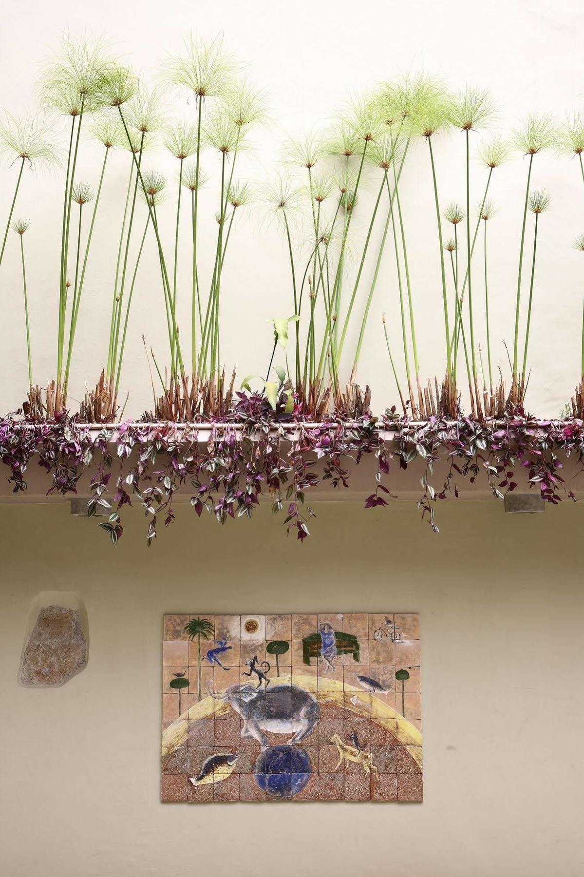 Casa De Las Flores Hotel Oaxaca ภายนอก รูปภาพ